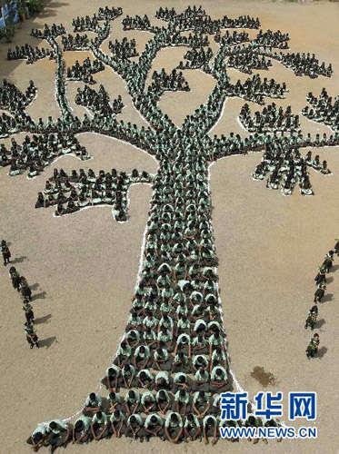 印度学生组成大树形状 呼吁保护森林