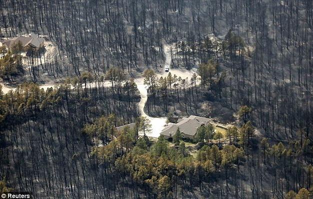 美国爆发森林大火 两所房屋奇迹免灾