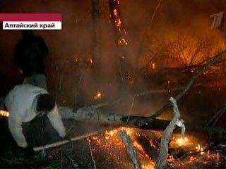 俄阿尔泰森林火势严峻 万名居民紧急撤离（图）