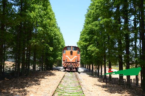 宁波植物园建成 9月28日将开园迎客