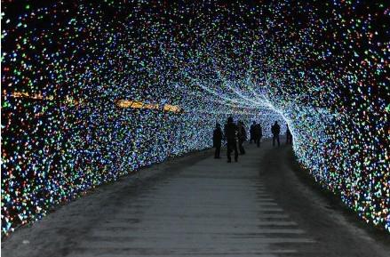 日本长岛植物园7百万盏led彩灯打造时空隧道