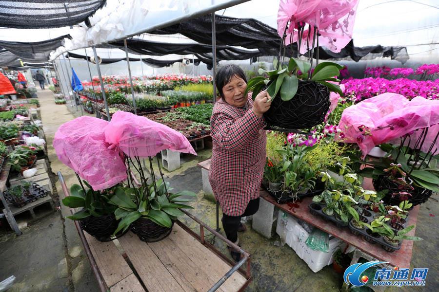 花木商户包装花卉