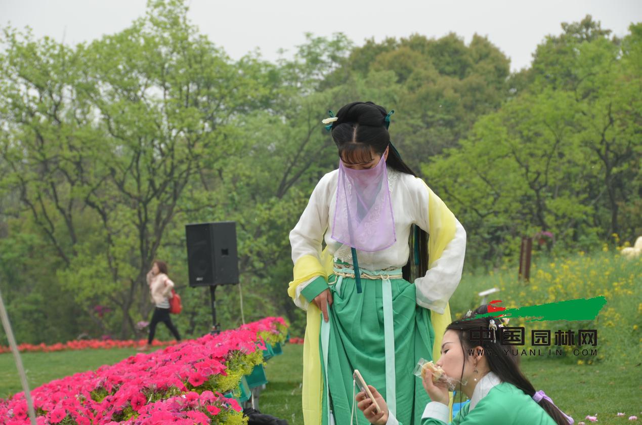 【迎g20】相约美丽 2016杭州西溪花朝节