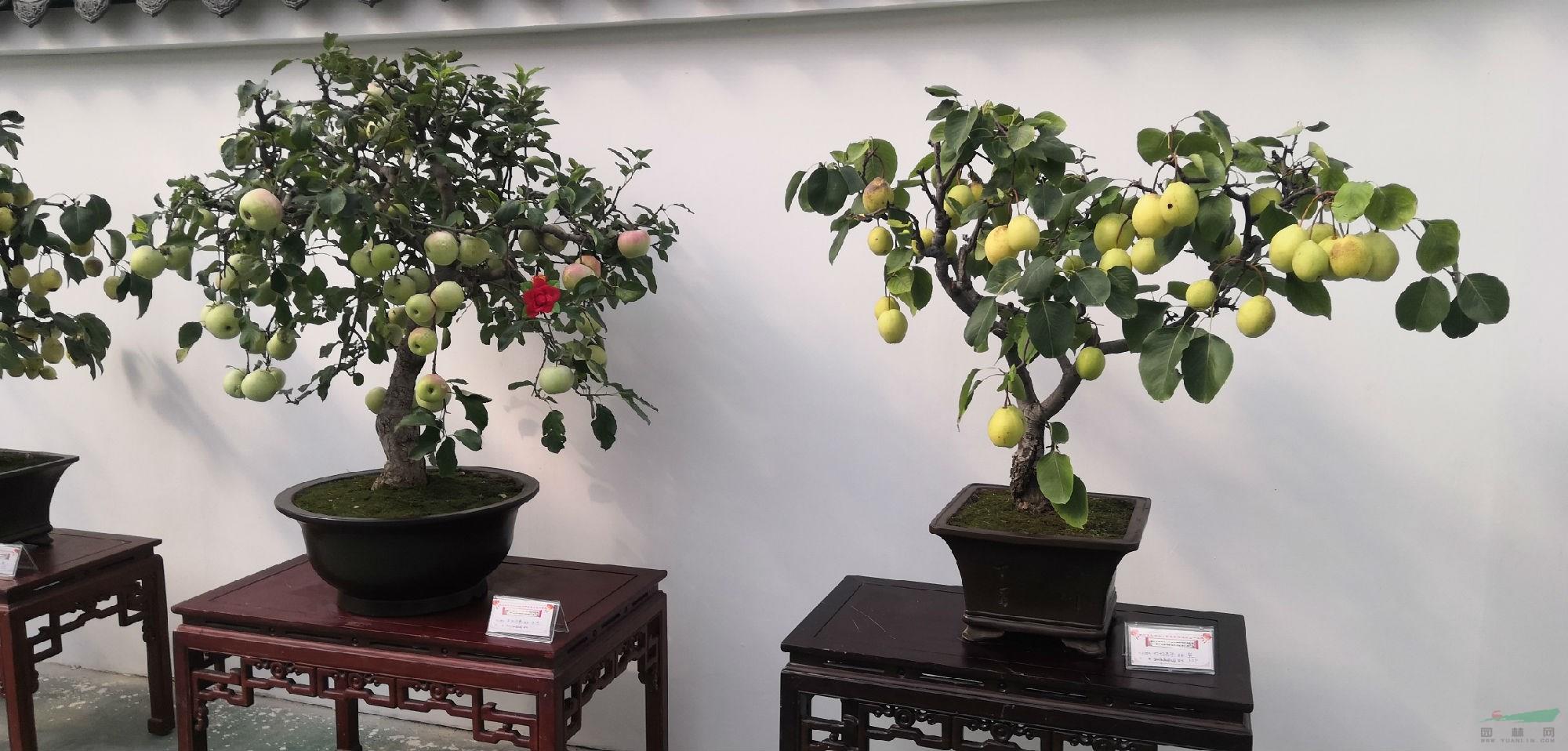 微信图片_20190925154518.jpg