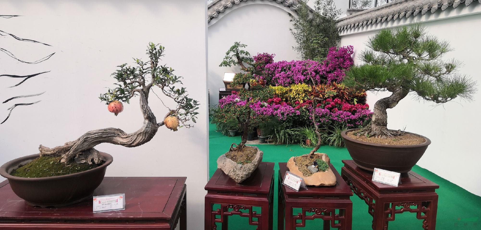 微信图片_20190925154508.jpg