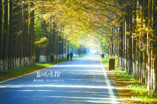黄海森林公园