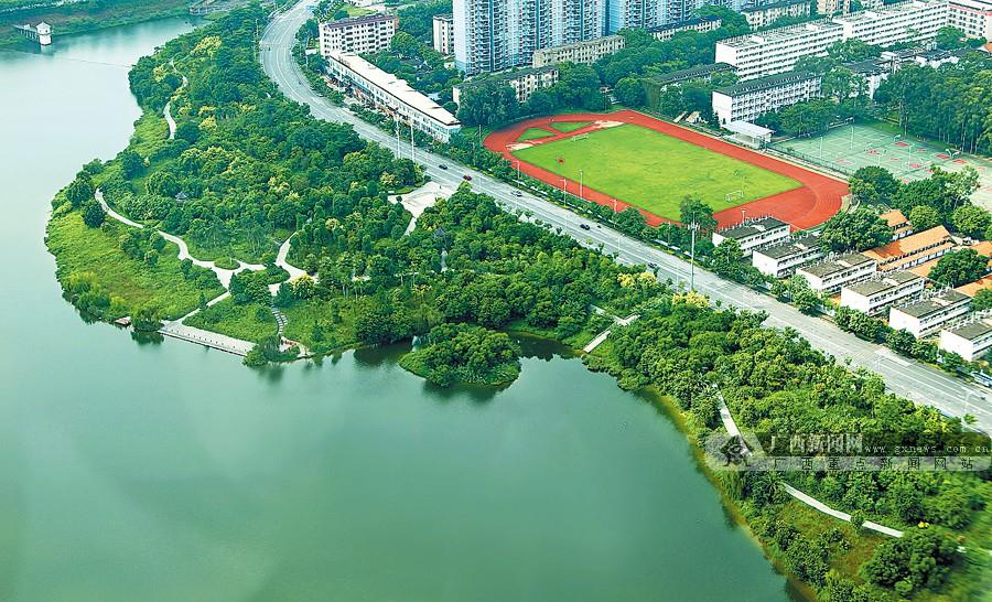 这是近日拍摄的南宁市相思湖湿地公园,各类亲水植被长得郁郁葱葱。 水域面积为86公顷的相思湖湿地公园,连带着133公顷湿地及84公顷绿地,构成了一套完备的生态系统。李军/摄 上海苗木网1月13日消息:2015年度统计显示,广西湿地保护和恢复工程投资首超亿元,实际完成1.0489亿元,其中中央投资6376万元,地方投资4113万元。 好消息还有:经财政部和国家林业局组织审查,全国奖励一批在湿地保护及科普宣教中成绩突出的市县,每县奖励500万元,广西的荔浦、东兰两县榜上有名。 2015年广西有8处湿地申报国家
