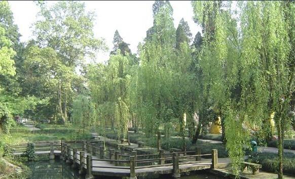 福建公园2.jpg