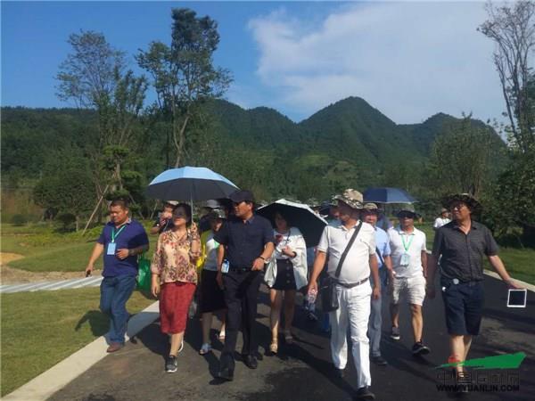 苗夫控股董事长孙妙夫向苗乡行考察团介绍项目情况
