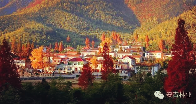 安吉天荒坪镇余村