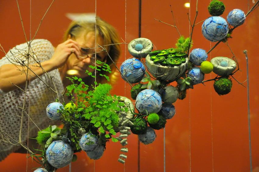 在美国芝加哥花卉园艺展上，一名参观者观看园艺作品。