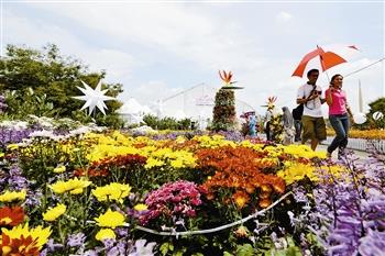 图文：马来西亚举办“热带雨林之美”花卉展
