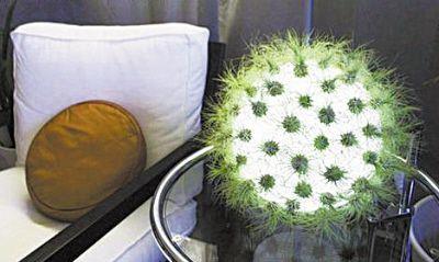 能“种”植物且提供生命能量的盆栽灯 售价近300美元