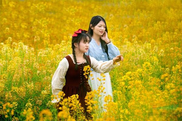 游客在花田感受彩色油菜花的春色美景.jpg