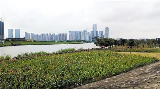 “绿城飞花”升级效果