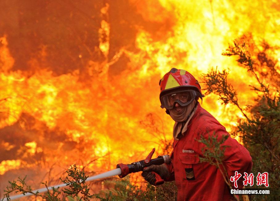 葡萄牙：气温高达40摄氏度 引发山林大火狂烧不止