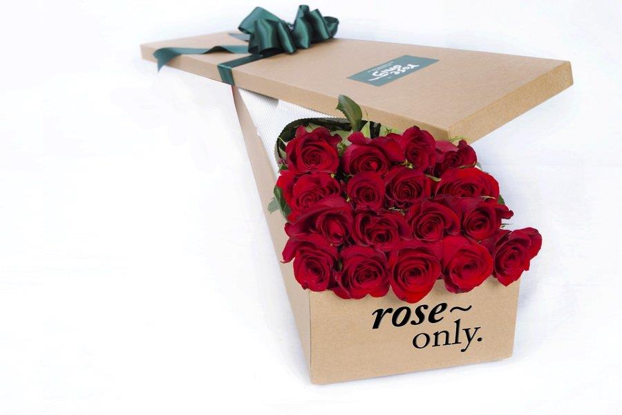 收入证明范本_支出收入表格_销售收入是什么