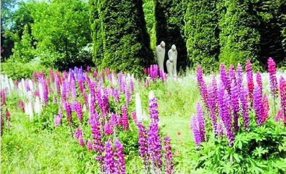 法国“2012年度最佳花园”奖在塞利古尔花园揭晓