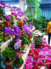 商贸公司：三河市场的繁荣背后