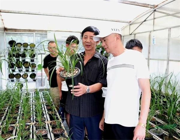 走访团成员在普洱兰园品鉴兰花.jpg