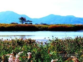 2013年韩国顺天湾世界园艺博览会探密