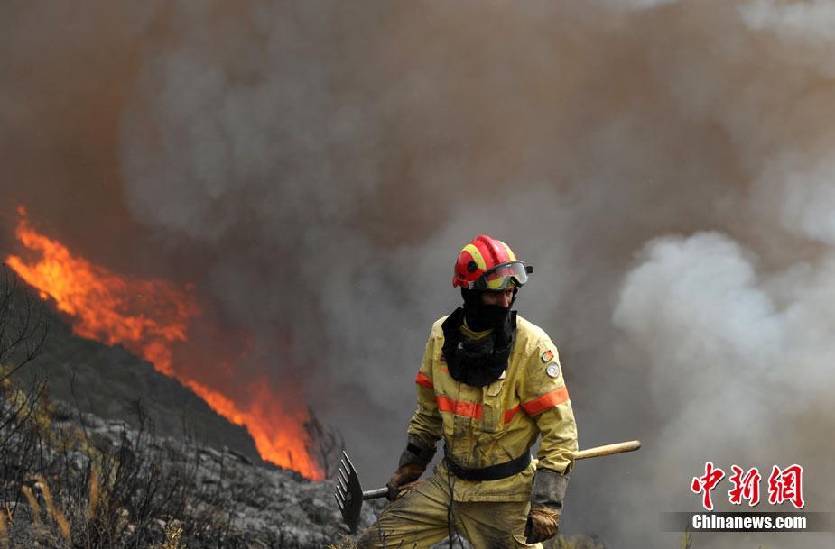葡萄牙：气温高达40摄氏度 引发山林大火狂烧不止