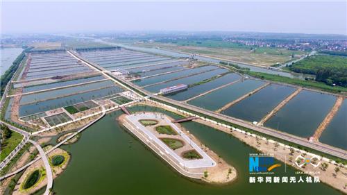 图为航拍青西郊野公园渔村休闲体验区。