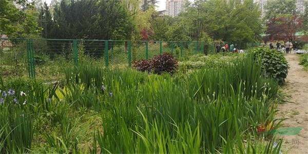 绿意盎然的秦岭宿根花卉种质资源库 - 复件(2).jpg