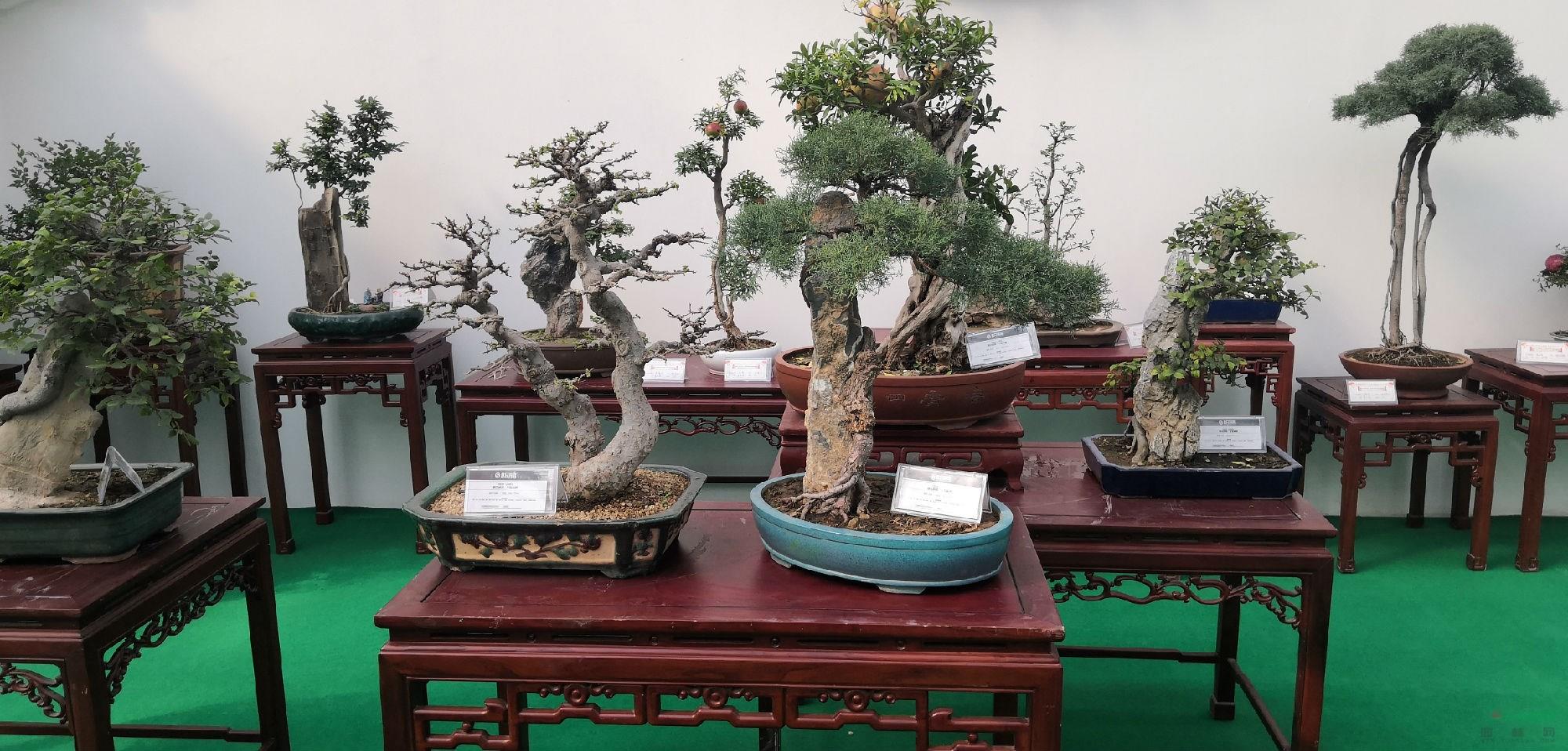 微信图片_20190925154535.jpg