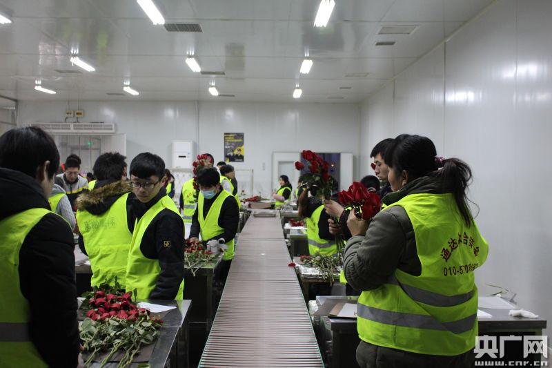 工作人员一片忙碌景象