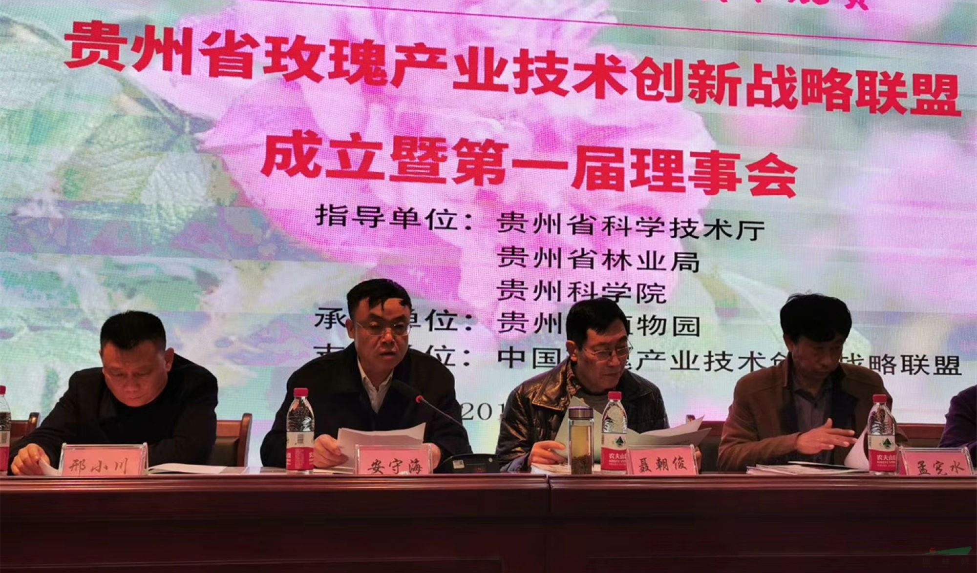 相關領導在主席臺就坐.jpg